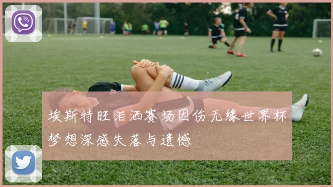 埃斯特旺泪洒赛场因伤无缘世界杯梦想深感失落与遗憾
